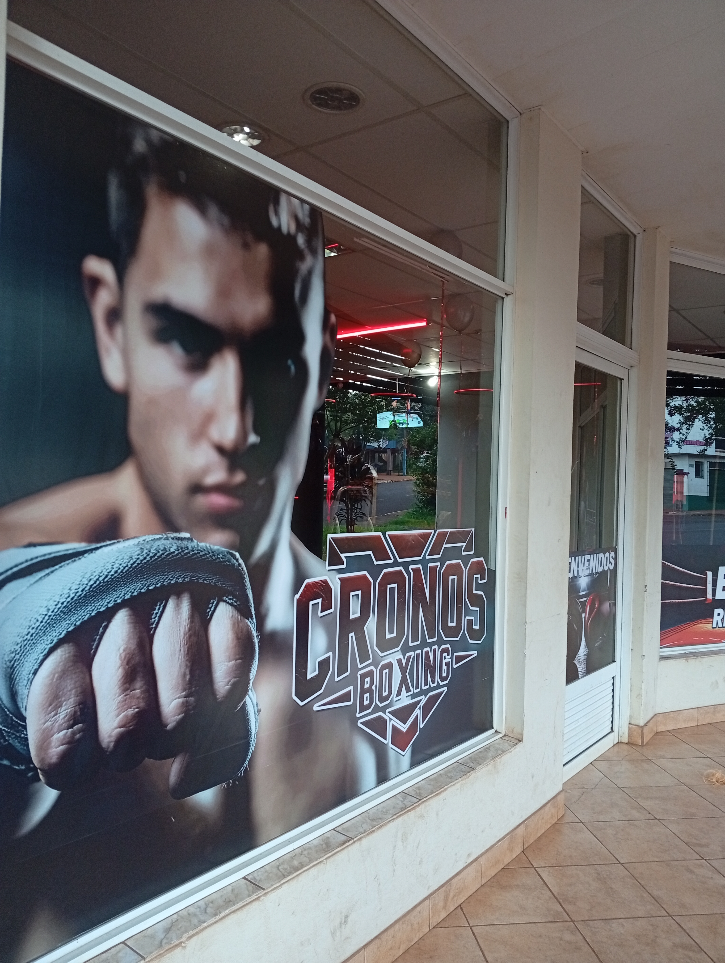 Diseño gráfico y ploteo de vinilos