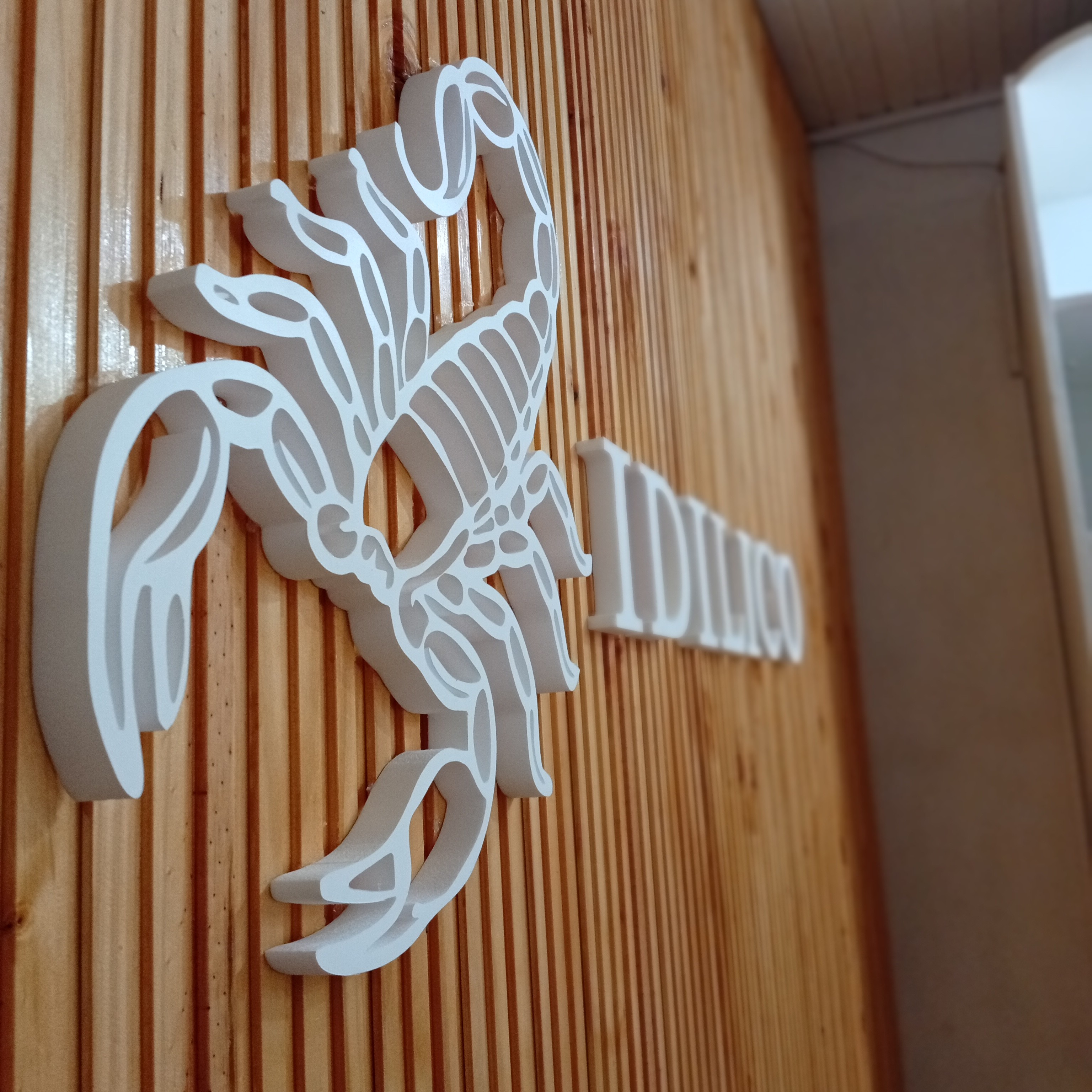 Foto artística de corporea personalizada